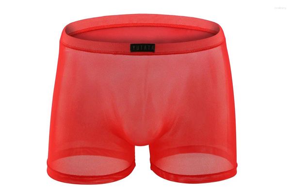 MUITO PANTES 2024 Brand Howe Ray Men Roupa íntima boxer masculino Seda de seda fria de seda fria e sexy calcinha masculina transparente macia