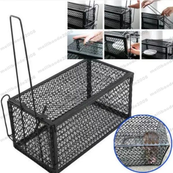 CONTROLLA CATTURA RATTO TRAP CAGE Spring Humane GRANDE PEST CONTROLLO RODENT IN INDIUTTO FORNITÀ GIARDO DI PROPO DI PROPRIO