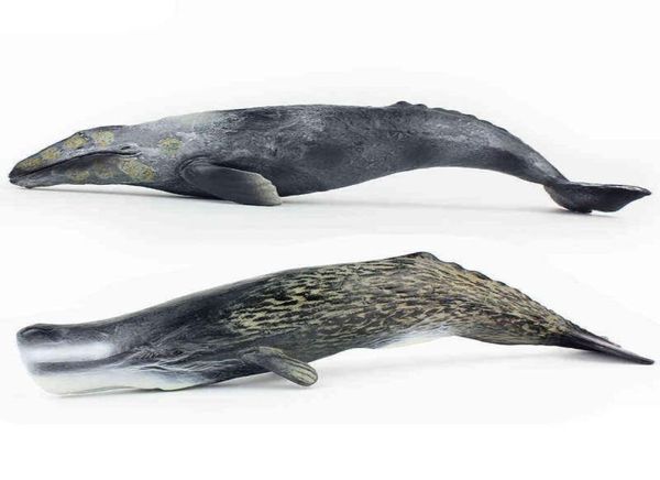 Tomy 30 cm Simulazione Creatura marina Modello di balena Whale Whale Grey Whale Pvc Figura Toys X11066556558