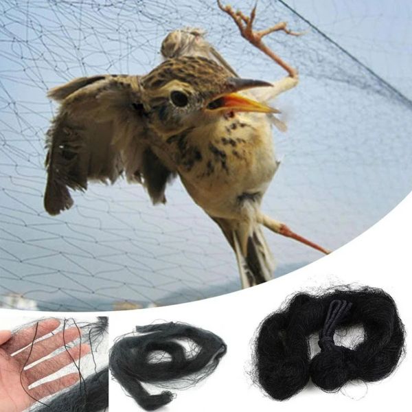 Аксессуары 9 размеров анти -птицы ловцы сетки многофункциональный пруд рыбалка с сеть