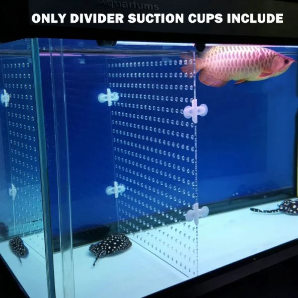 Aquários Aquários Divisor acrílico Buracos completos com 4pcs Cup de sucção grátis para peixes betta guppies tanque preto azul transparente