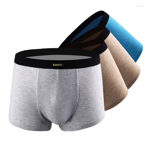 Underpants 2024 Men Boxer Shorts Algodão calcinha de roupa íntima masculino Big Size Brand confortável