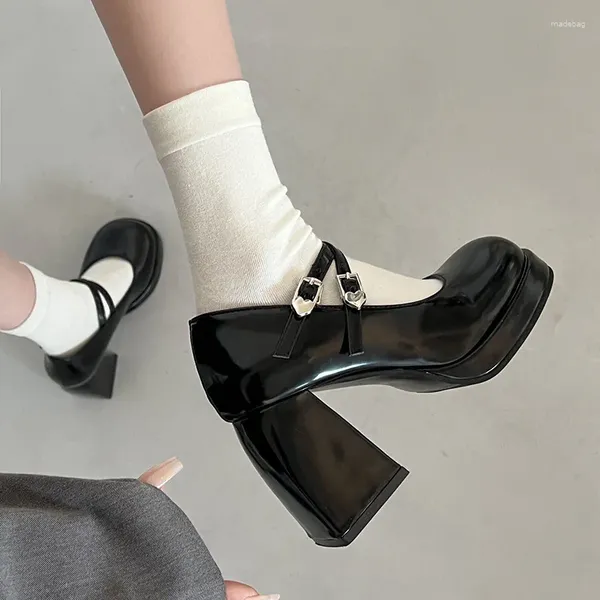 Scarpe vestiti tacchi nevi fitti femmine 2024 primavera e autunno boccia superficiale online celebrità retrò mary jane women's