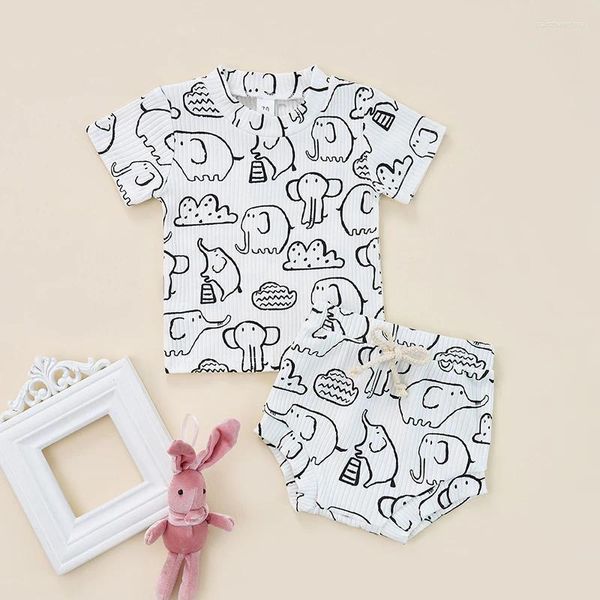 Roupas Conjuntos de roupas nascidos menino menino verão 2pcs terno elefante impressão de manga curta shorts de camiseta