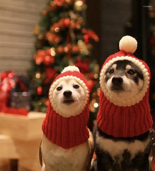 Costume da cappello di natale dell'abbigliamento per cani per la protezione golden per la fascia calda per il collo invernale grande medio.