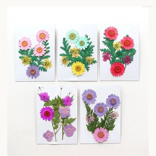 Dekorative Blumen 8pcs/Bag Nature gepresst DIY Lesezeichen Grußkarte Drop Kleber Telefonhülle Flor Make -up Kerze Epoxidharz Schmuck Handwerk