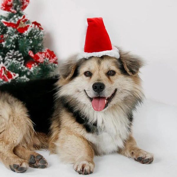 Vestuário para cães pet fofos chapéus de natal