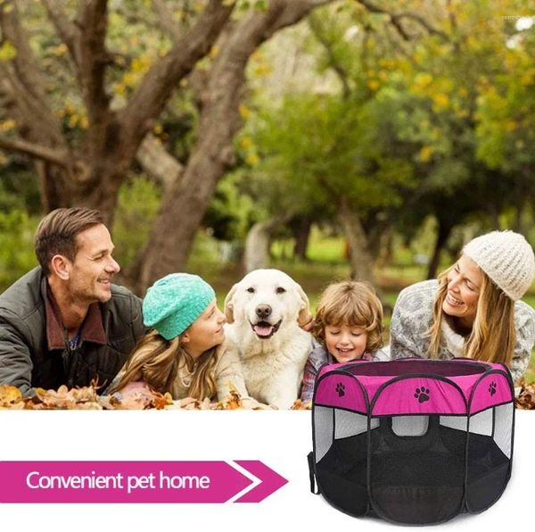 CAT CATTORI UP TENT PET PET PAYPEN CUPPIE CUPPIE CUCCHI PORTABILI POLTIBILE DELA DURE CASA DI KENNEL CASA PER ACCESTORI DI CUPPY