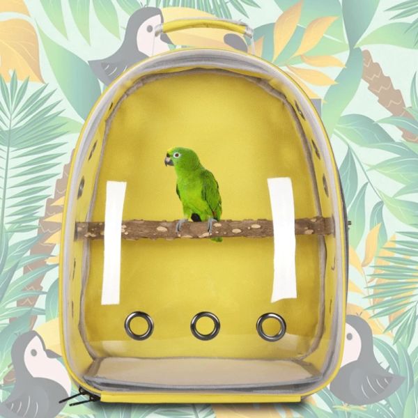 Bolsas de bolsas de transportador de pássaros Bolsa de transportadora portátil portátil para penteado para persenteet Capacatiel Bunny Travel Transparent Pet Bird Cage