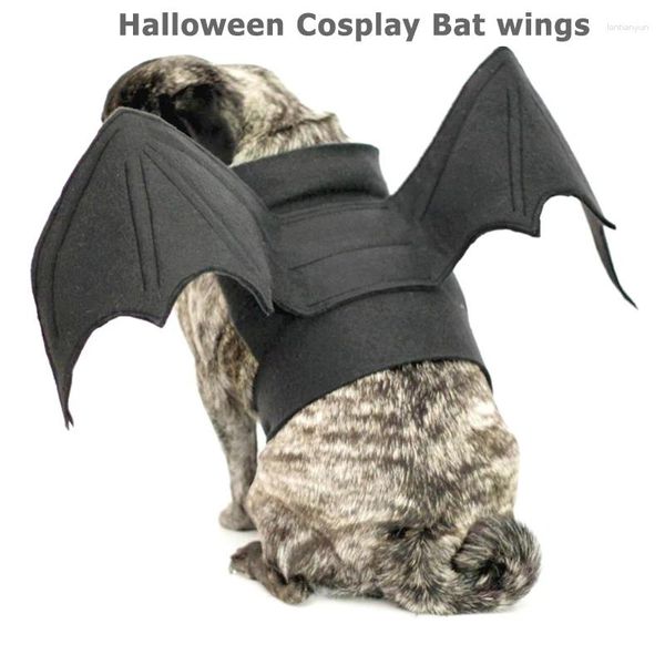 Abbigliamento per cani Halloween Cosplay Bat Wings Costumes Cablaggio Cucciolo Pet Cat Cat Black