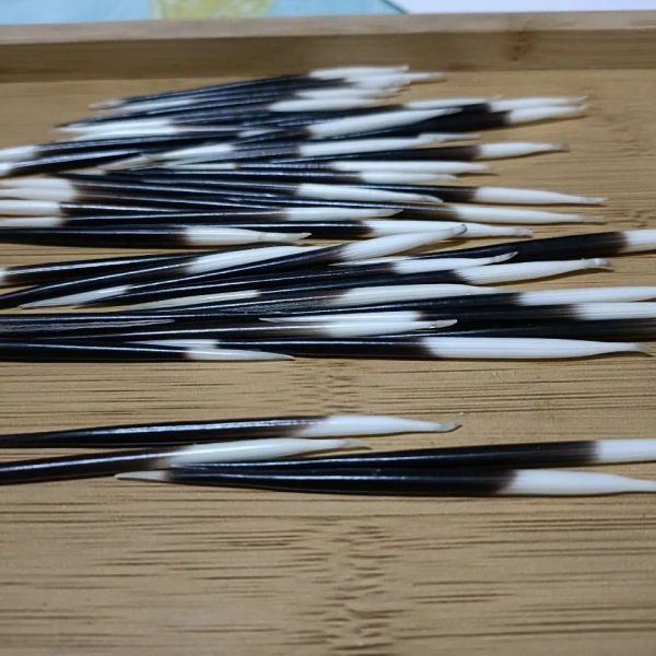 Çubuklar Porcupine Diken Yüksek Kaliteli Balık Şamandıra Saksı Aksesuarlar Quills Gerçek Porcupine Diken Beyaz Siyah Diy Quill Chounoy El Yapımı