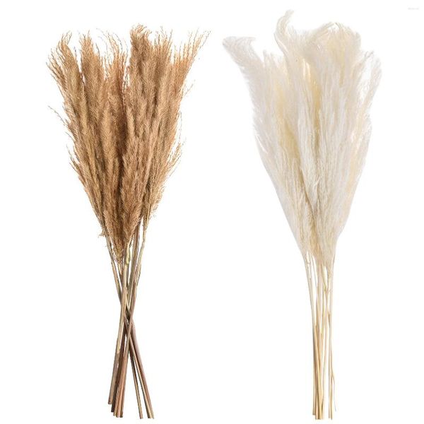 Fiori decorativi PCs Whisk Whisk Reed fai -da -te matrimonio 100 gambo di alta qualità naturale gambo di fiori di fiori per la casa decorazione amabile amabile