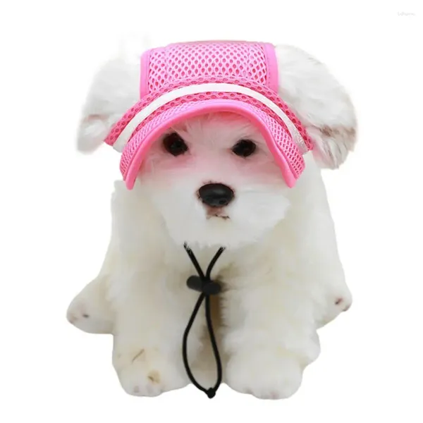 Abbigliamento per cani adorabile cappello da gatto da gatto super morbido largo brim lungo duraturo viso viso per pet decorazione