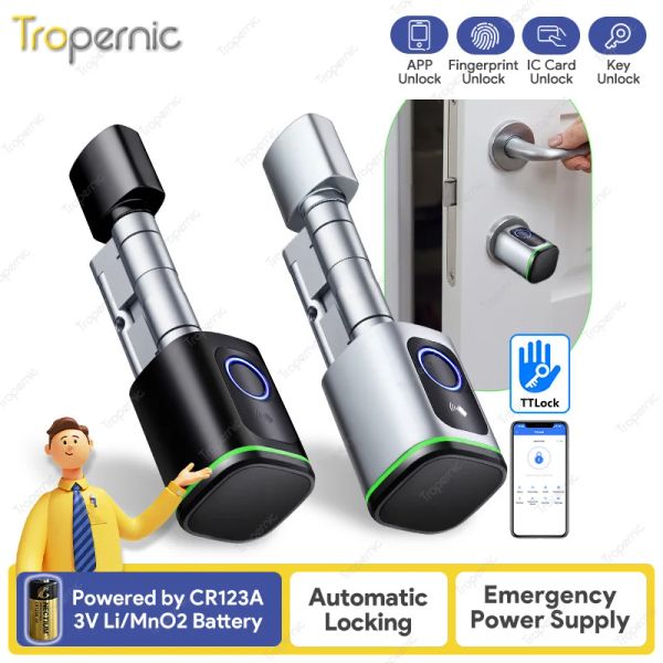 Controllo Keyless Euro Profile Cilindro blocco app blocco WiFi Sostituzione Smart Electronic Lock Lock Password Locks