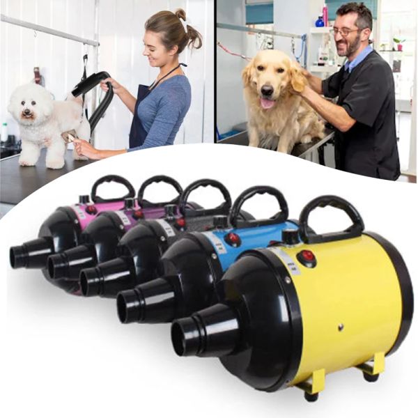 Secador secador de pêlos de animais para cães gato de gato de estimação ventilador de água quente vento rápido blowdryer para pequeno secador de cachorro pequeno grande ruído baixo 2600w