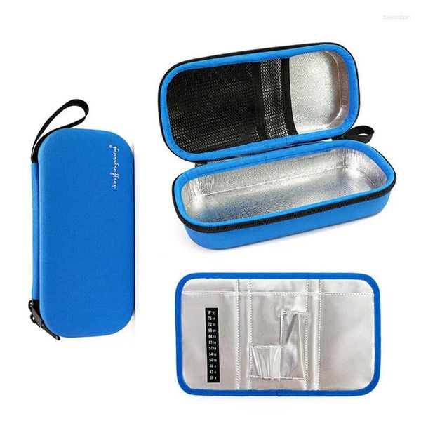 Aufbewahrungsbeutel tragbarer EVA -Kühler -Beutel Ice Pack Diabetic Travel Case Aluminiumfolie Bolsa Termica