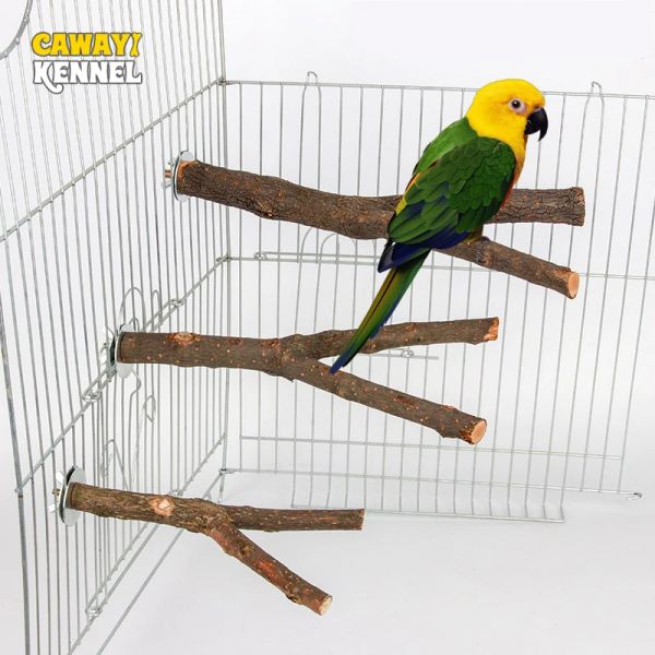 Suprimentos 15/20/30 cm de madeira natural Pet Parrot Raw Wood Fork Tree Stand Rack Rack Squirrel Bird Hamster Braio Polas Chew Toy Stickd9091