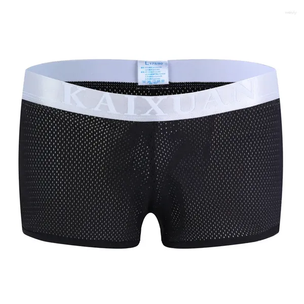 Underpants Boy Sexy Underwear Youth Fashion Boxer Short Modal Mutandine per i giovani Adolescenti di lingerie Adolescenti estate Mesh Trunk traspirante