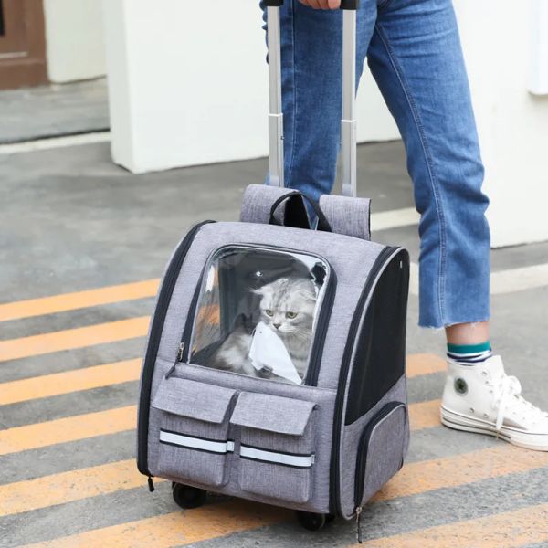 Bolsas de alta qualidade transportam viagens Transporte portátil Bolsa de carrinho de cápsula espacial respirável Backpack para cães para cães de gato