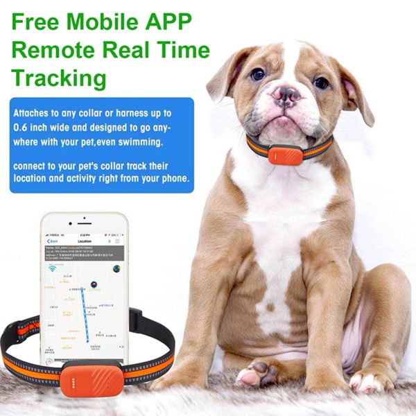 Steuerung G51 2G 4G Sicherheitsverfolgungsgerät GPS AGPS WiFI LBS PET -Tracker Smart Collar Device Fernbedienungs -Steuerung für Hundekatze Tiere