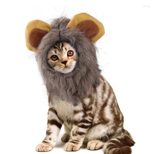 Cappello per animali domestici Abbigliamento per cani con orecchie di criniera per gatti Autunno inverno Accessori di costumi carini Cosplay gatto leone parrucca testata testa