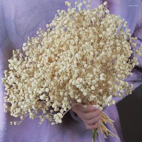 Fiori decorativi secchi naturali essiccati Gypsophila paniculata Bisth's Breath Bouquet Wedding Home Decor per oggetti di scena PO Decorazione