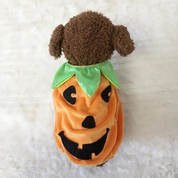 Abbigliamento per cani abbigliamento per animali domestici per cagnolini cucciolo cucciolo divertente costume costume inverno con cappuccio da gatto caloroso