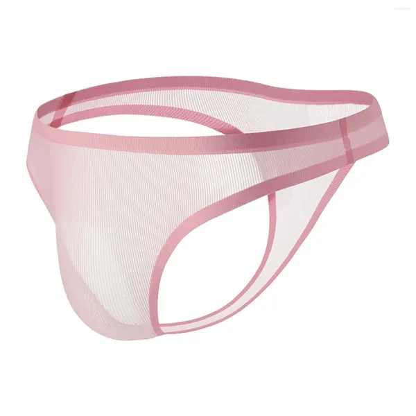 Underpants uomini sexy biancheria intima perizoni a g-corde tans maschile bikini brief nylon mesh veloce asciutto come o costume da bagno ropa hombre