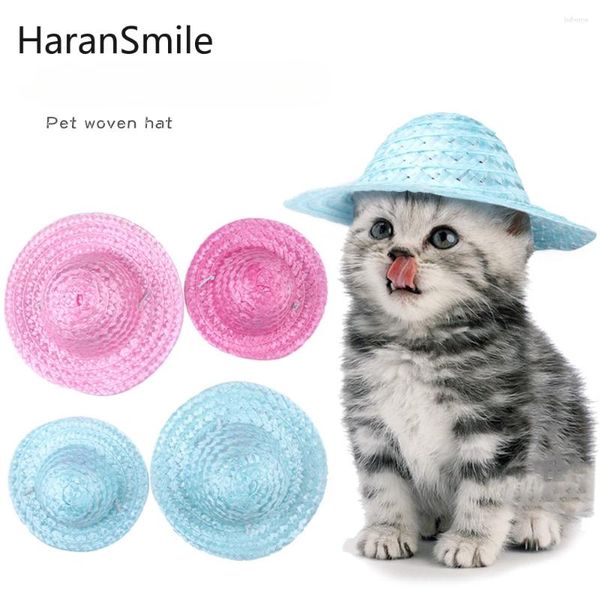 Abbigliamento per cani T Border Border Paglietta per compagnia Cappello regolabile Cat Occiglia