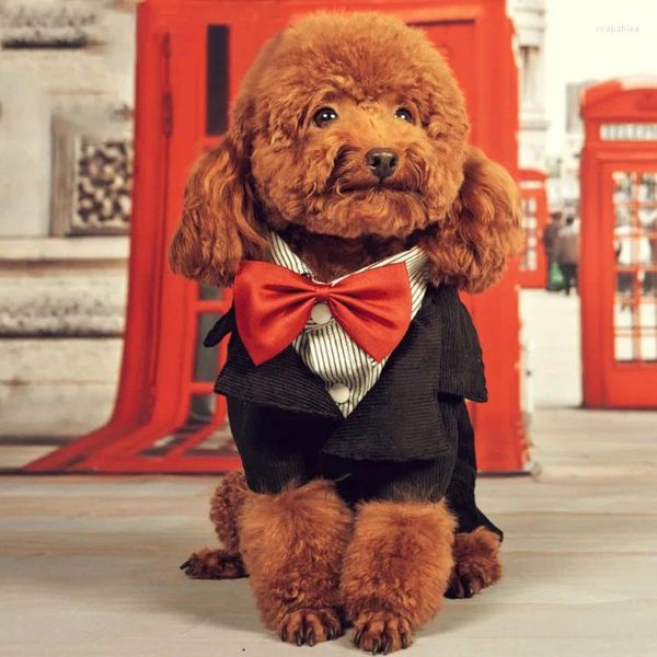 Vestuário para cães roupas de roupa de estimação de roupas de roupa de estimação vermelha touch british estilo smoking roupas de casamento