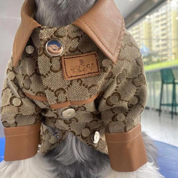 Abbigliamento per cani abbigliamento inverno abbigliamento abbigliamento addensato designer in pelle cappotti caldi per cat schnauzer orsacchiotto