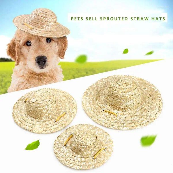 Abbigliamento per cani Cappello estivo Prodotti estivi Cappelli da sole Accessori per cappuccio per cagnolini artigianali a mano in stile Hawaii Animali regolabili Puppy E