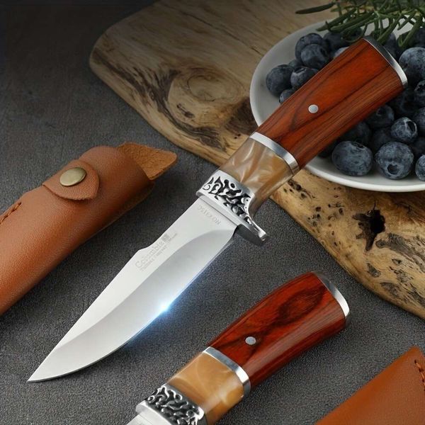 Coltello da frutta in acciaio inossidabile per la casa, manico multifunzionale coltello da carne, coltello tascabile portatile, coltello portatile EDC, coltello da barbecue