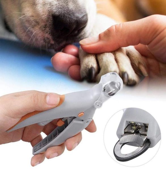 Scissori per chiodi per animali domestici Pieto per gatto per gatto artigli di punta artiglia a led taglienti leggeri gatti cani da cane dog che toelettano materiali animali domestici 2208240119