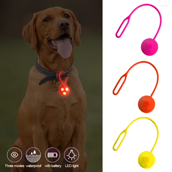 Hundekragen Welpe LED Silikon Glühen Kragen Anhänger Außenwanderung Rucksackbeutel Leuchten Nacht Walking Cycling Sicherheit blinkendes Licht Haustier