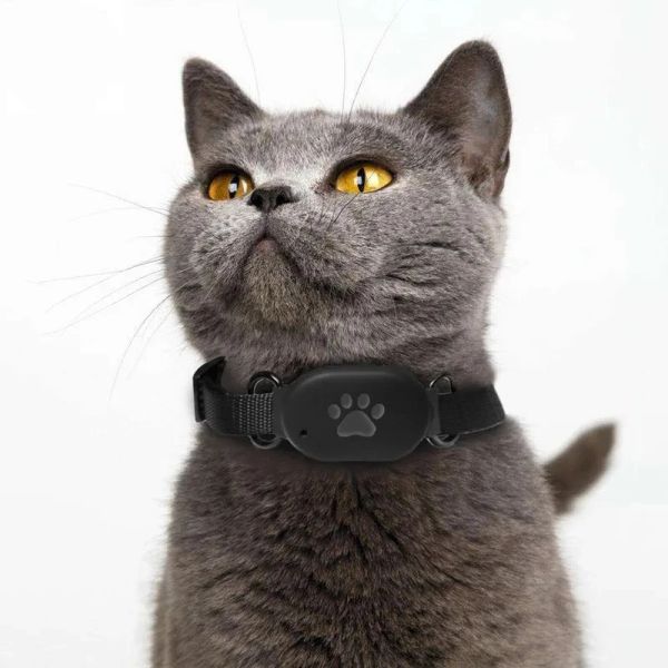 Trackers PET Locatore di tracciamento GPS con collare geofence SOS ALNERE APP CONTROLLO CAT Dog Dog Antilost BDS/LBS/WiFi Intelligent Signal Signal Device