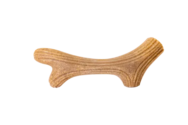 Toys Pine Antler che mastica giocattoli per le forniture per animali domestici per animali domestici Golden Retriever Chew Bone Toy Food Best Seller Dropshipping 2021