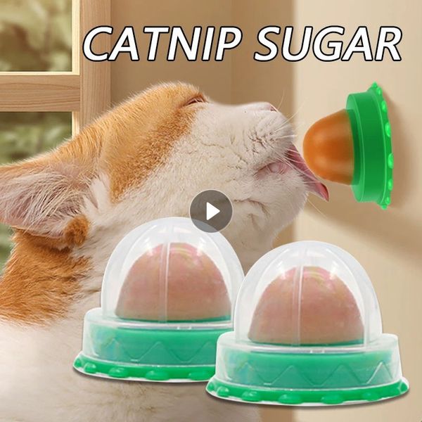 Cat Catnip Katzenspielzeug gesunde Ernährung Katzen Lollipop Katzenminze an der Wand Katzen Energy Ball Candy Snacks Waren für Katzen Haustierprodukte