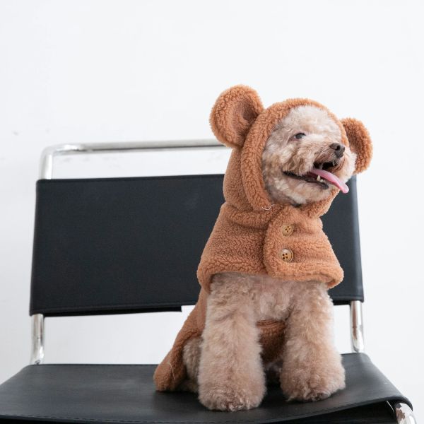 Jackets Plush Bear Coat Roupa Roupas de animais de estimação Gatos e cães Trajes Teddy Bichon transformados em fantasias de Halloween de Natal