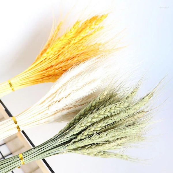 Flores decorativas 50 PCs Wheat Real Wheat Natural Wedding Party Decoration Flower Bouquet