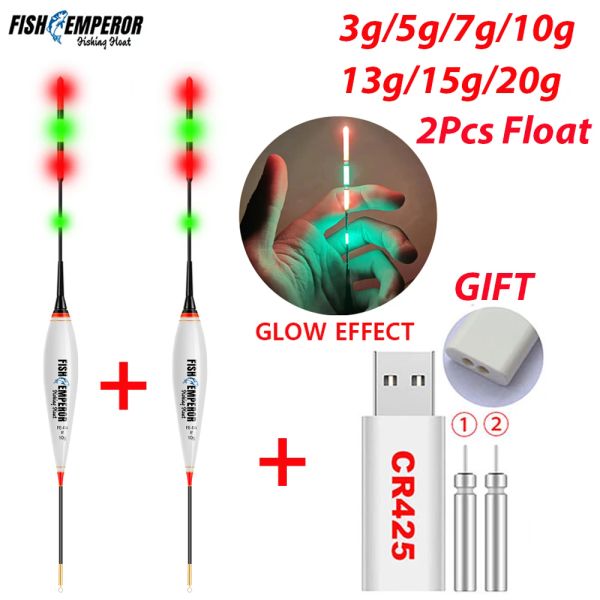 Accessori 2023 Nuovo set di galleggiante da pesca da 2 pezzi 3g/5g/7g/10g/13g/15g/20g Float luminoso LED LED+CR425 Caricatore della batteria pesca di carpa