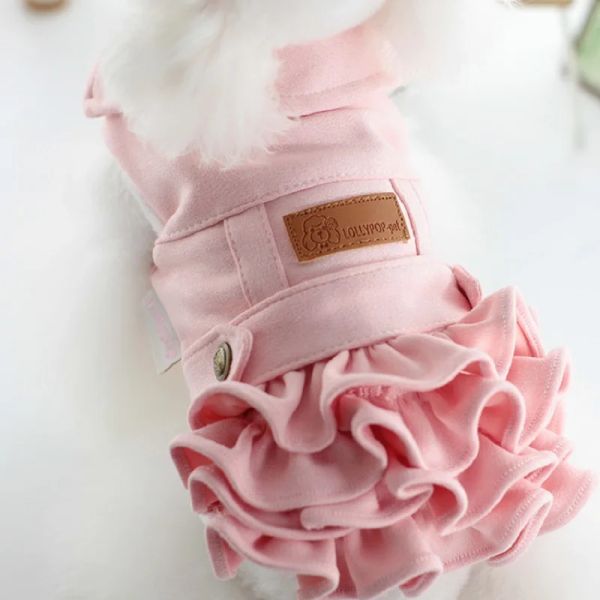 Sets Lollipop koreanischer Stil Multi -Layered Samtanzug Rock warme Jacke vierbeinige Mantel Hunde Katze Wintermantel