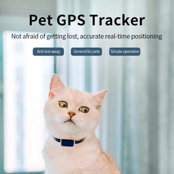 Rastreadores Pet GPS Tracker Smart Locar Collar Dispositivo antilost Localizador de rastreamento em tempo real colares de animais de estimação para a posição de pássaro de cão de gato localização