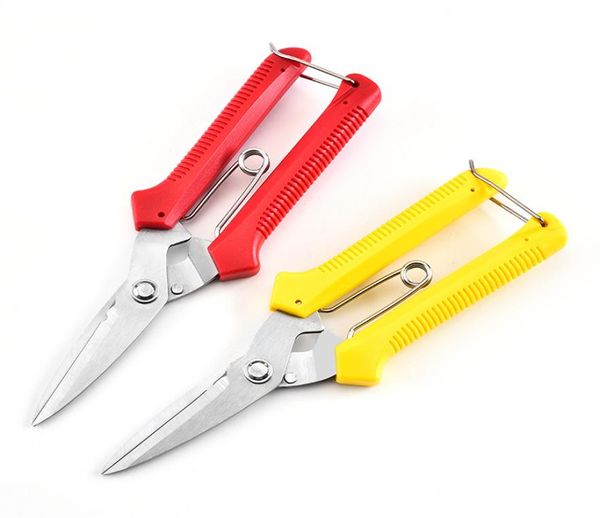 Segurança do Garden Home Garden Scissors acentuadamente com várias cores Branch Scissor Red Amarelo Evite a Manuseda de deslizamento A poda tesouras vendendo 1556498