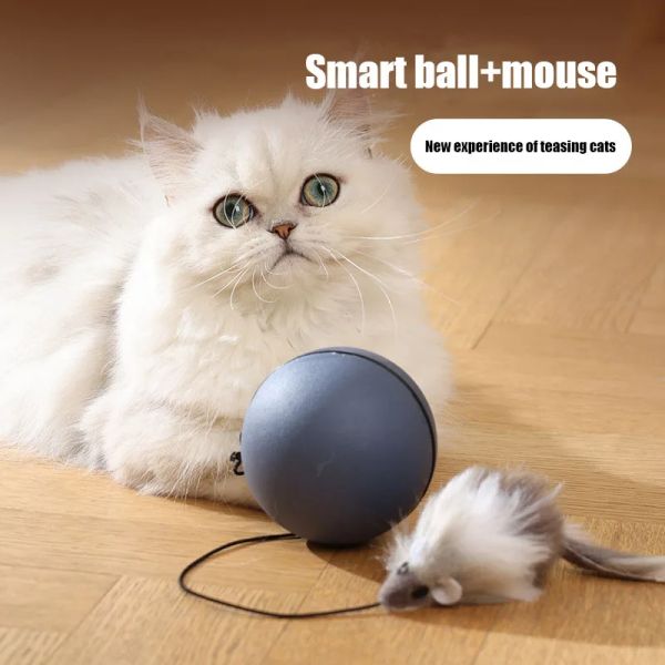 Toys Kimpets Cat Toys Mouse Teaser Ball Fun Moving Toy For Pet Cat Dog Electric Teaser Ball Автоматическое интеллектуальное шарик