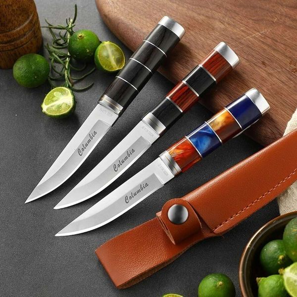 1 adet açık hava paslanmaz çelik ev meyve bıçağı, EDC uygun, kamp barbekü eti bıçağı, biftek bıçağı için uygun