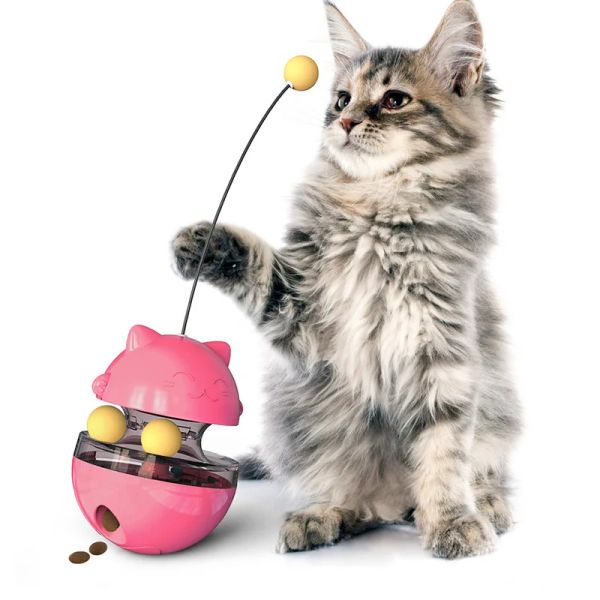 Toys Cat Toy Toy Cat Scrating Ball Training Toy Interactive Toy para Kitten Pet Supplies Play Play Tumbler Turbable Cat Accessorie Toy