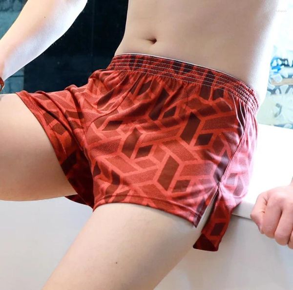 Underpants 2024 Sexy Männer Polyester Homewear Unterwäsche Herren Boxer Shorts Cuecas Nachtwäsche Boxer Homme männlicher schwuler Penis