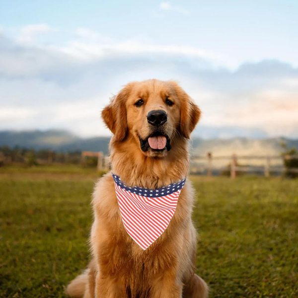 Forniture per animali domestici Abbigliamento per cani per cagnolini in accessori per la cura del calore Regolabile Bib levriero italiano