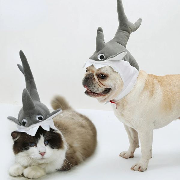 Cappello per animali domestici per il costume di Halloween giocattolo per gatto per gatto carino e divertente per gatto mastica